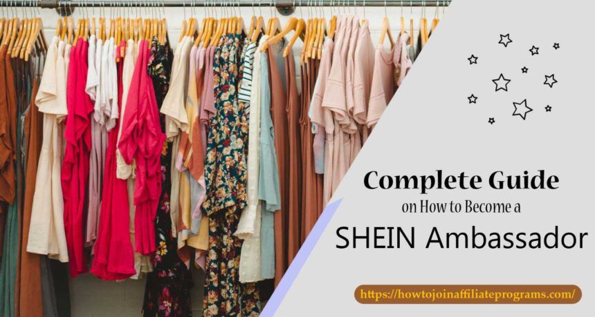 SHEIN ambassador