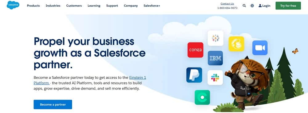 Salesforce Program