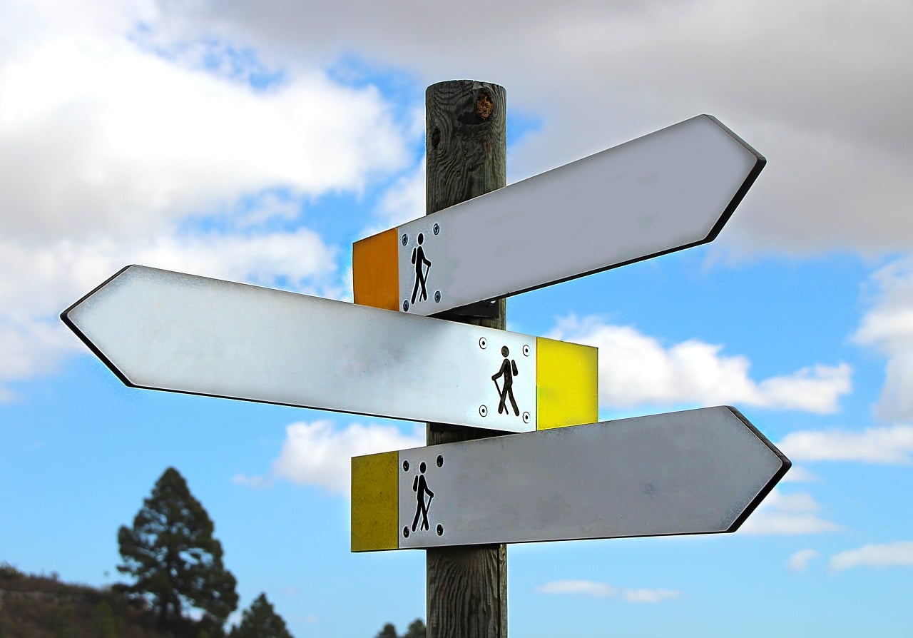 Types of Affiliate Programs